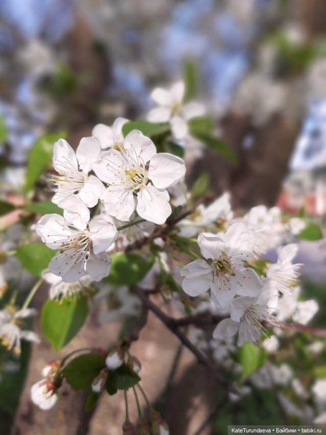 Немного некукольных фото — Болталка и разговоры обо всем: жизнь