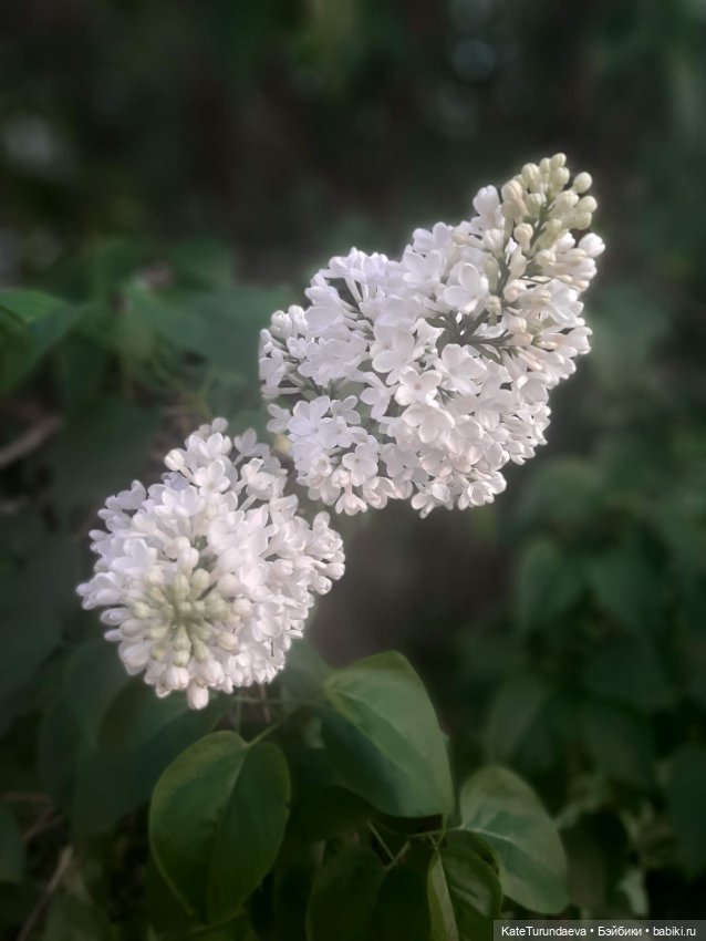 Немного некукольных фото — Болталка и разговоры обо всем: жизнь