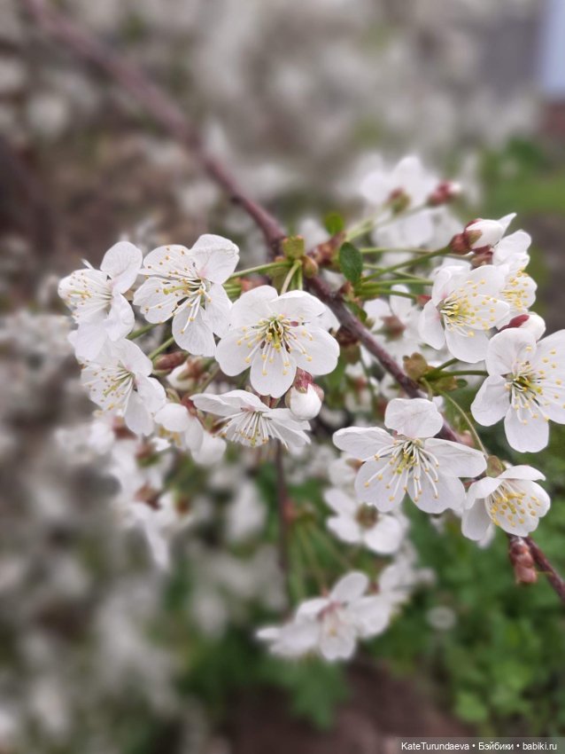 Немного некукольных фото — Болталка и разговоры обо всем: жизнь