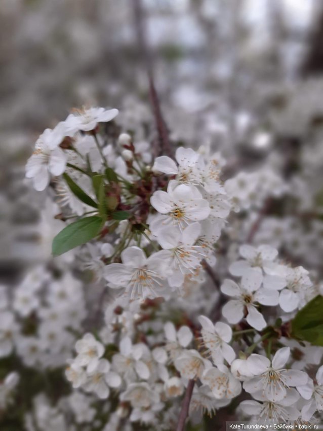 Немного некукольных фото — Болталка и разговоры обо всем: жизнь