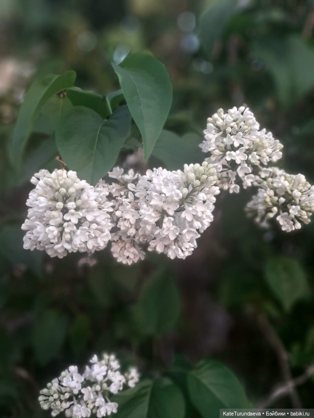 Немного некукольных фото — Болталка и разговоры обо всем: жизнь