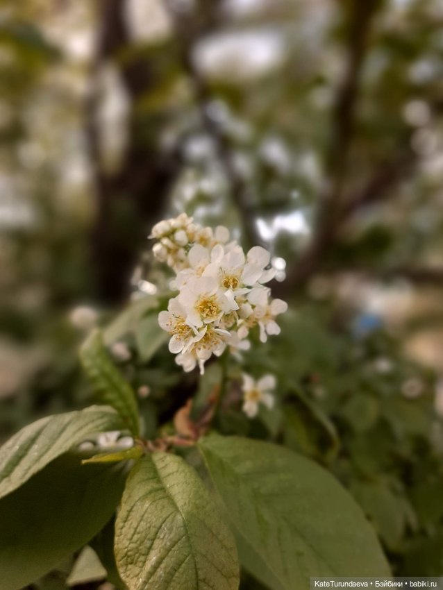 Немного некукольных фото — Болталка и разговоры обо всем: жизнь
