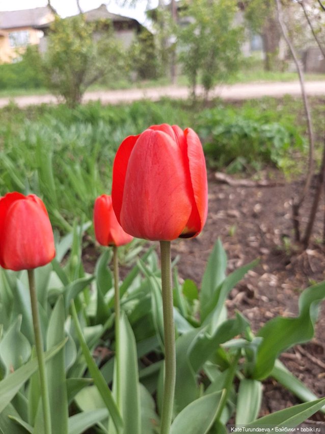 Немного некукольных фото — Болталка и разговоры обо всем: жизнь