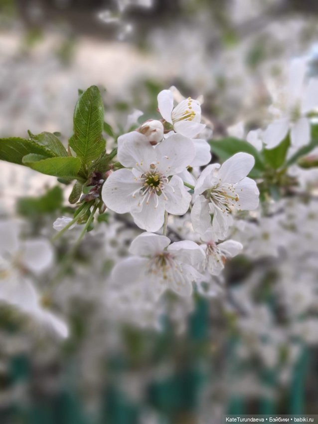 Немного некукольных фото — Болталка и разговоры обо всем: жизнь