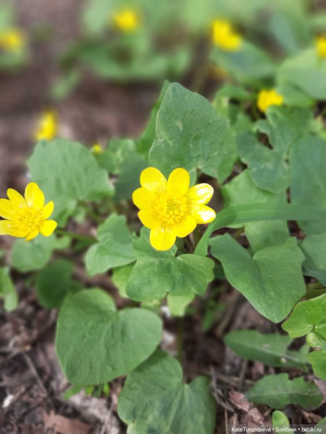 Немного некукольных фото — Болталка и разговоры обо всем: жизнь