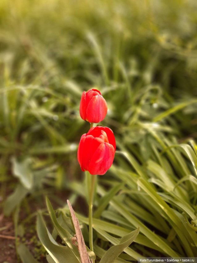 Немного некукольных фото — Болталка и разговоры обо всем: жизнь