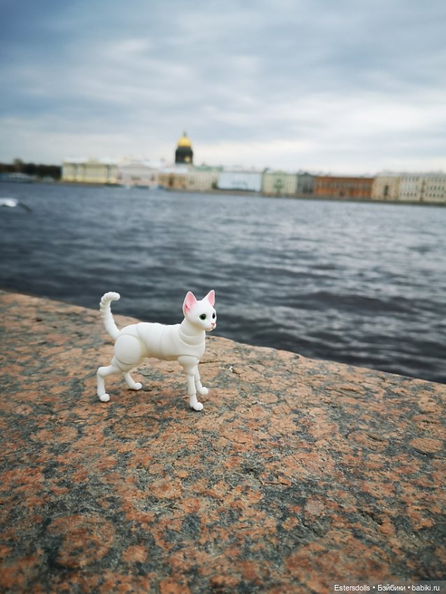 Путешествие и новые наряды