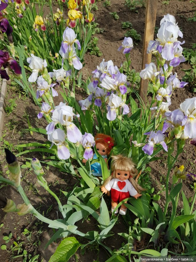 Как хорошо на даче — Винтажные куклы ГДР (Немки): Бигги (фото 10)