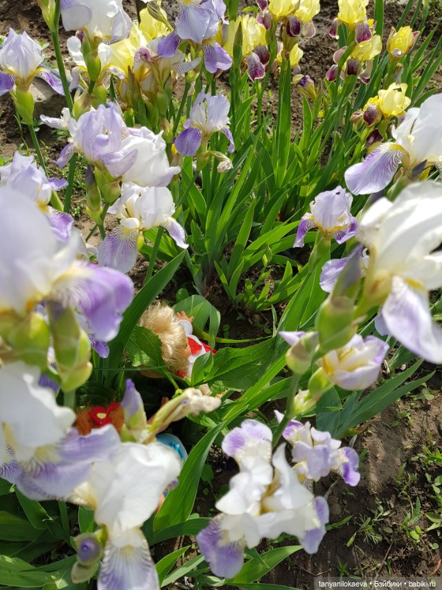 Как хорошо на даче — Винтажные куклы ГДР (Немки): Бигги (фото 9)