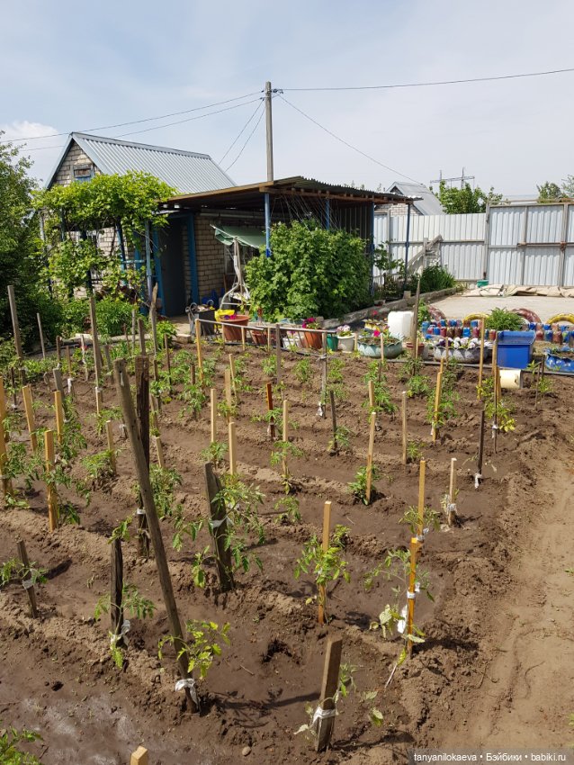 Как хорошо на даче — Винтажные куклы ГДР (Немки): Бигги (фото 2)