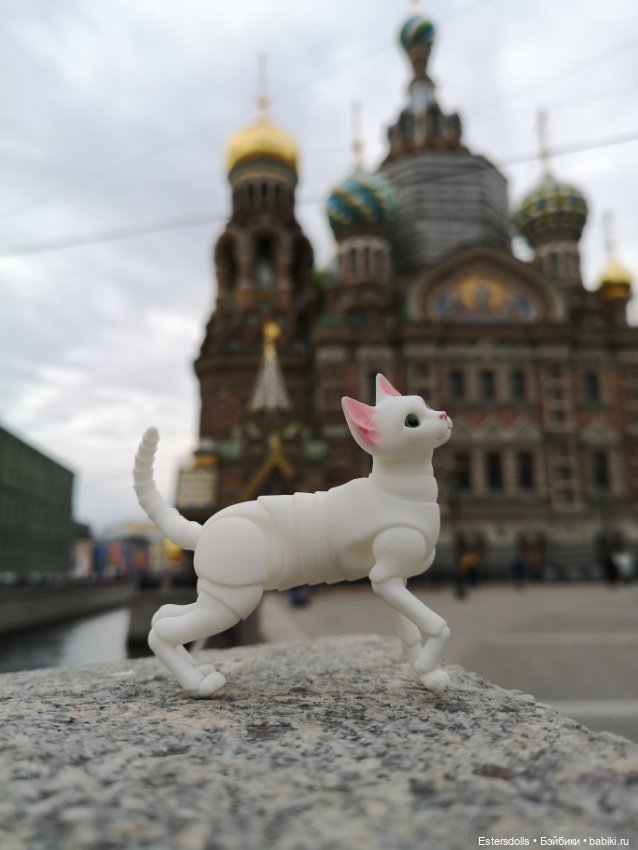 Путешествие и новые наряды