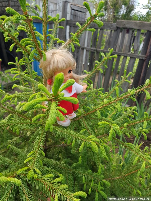 Как хорошо на даче — Винтажные куклы ГДР (Немки): Бигги
