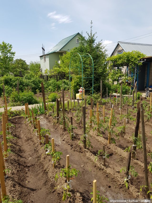 Как хорошо на даче — Винтажные куклы ГДР (Немки): Бигги (фото 3)