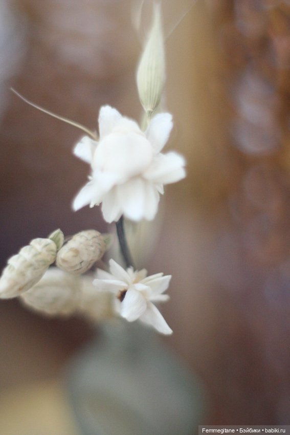 Доброе утро — Болталка и разговоры обо всем: жизнь (фото 6)