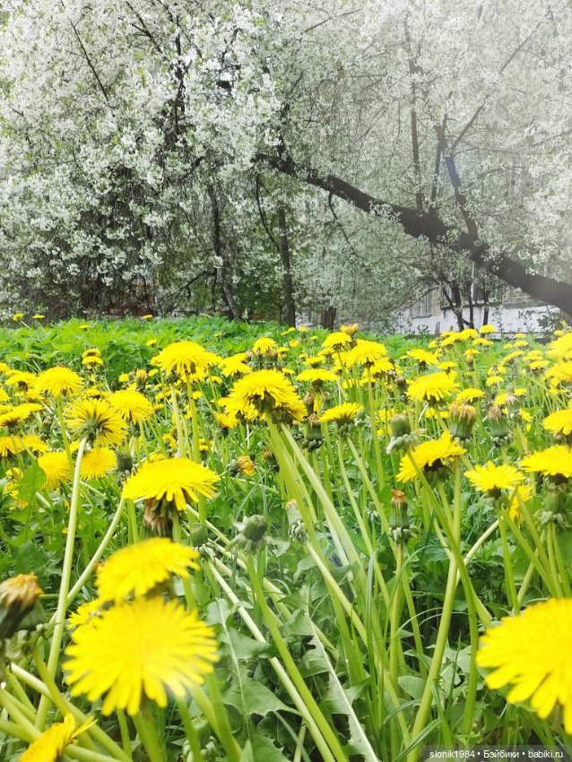 Яркие и живые — ООАК и кастом Барби (Barbie): репейнт