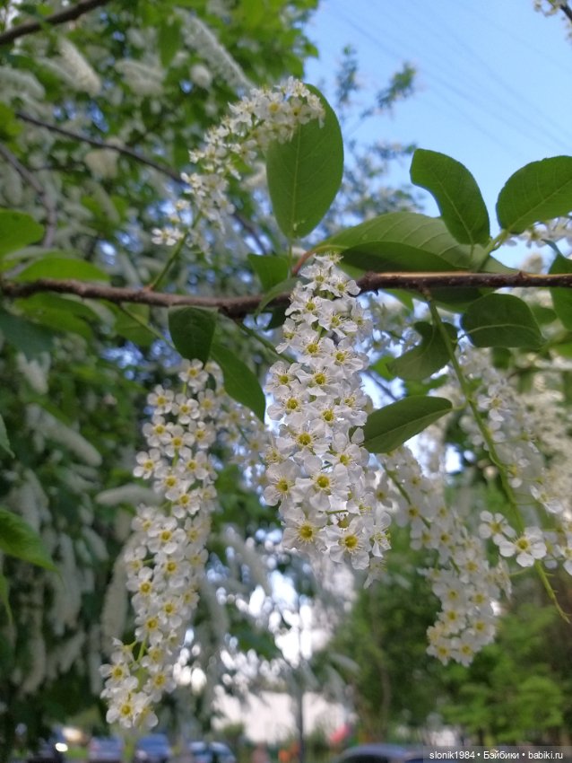 Яркие и живые — ООАК и кастом Барби (Barbie): репейнт