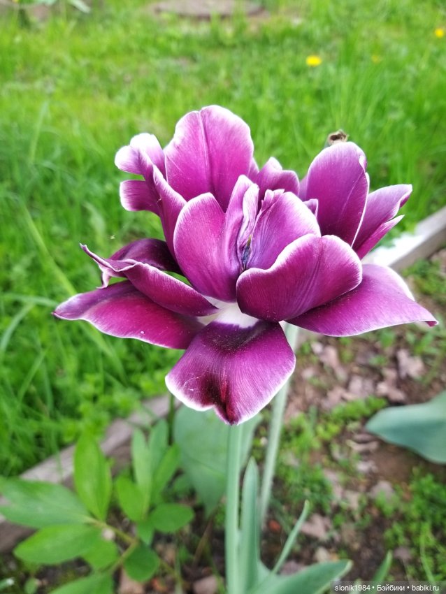 Яркие и живые — ООАК и кастом Барби (Barbie): репейнт