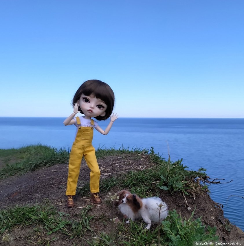 Прощание с детством — Куклы DIM (Doll in Mind): корейские BJD (БЖД) (фото 4)