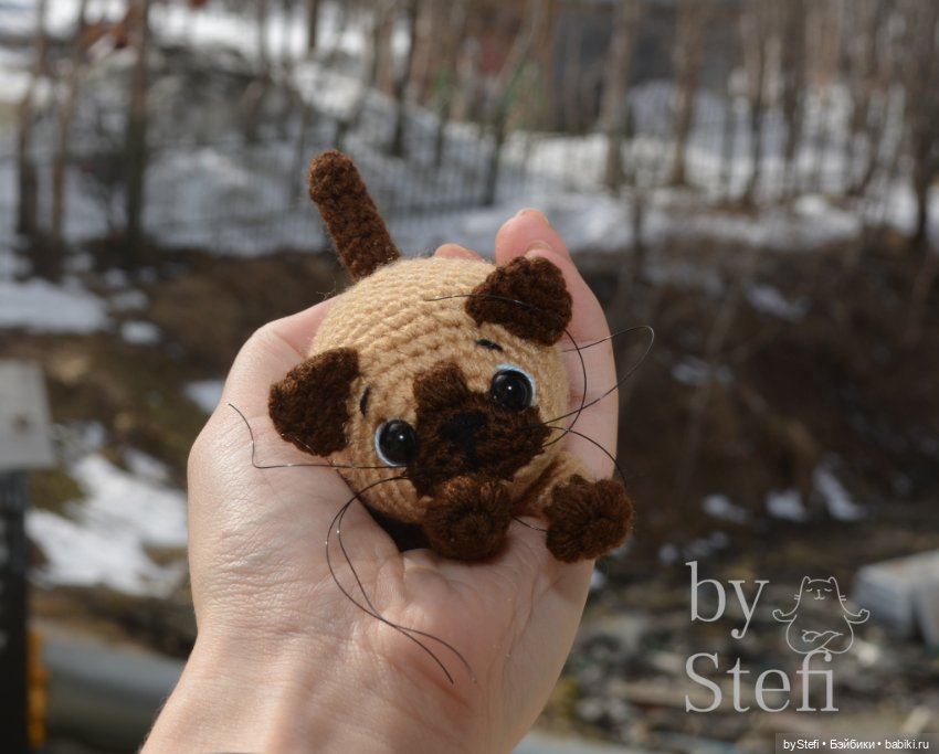 Ещё один котёнок Прошка — Вязаные игрушки и амигуруми: крючком (фото 5)