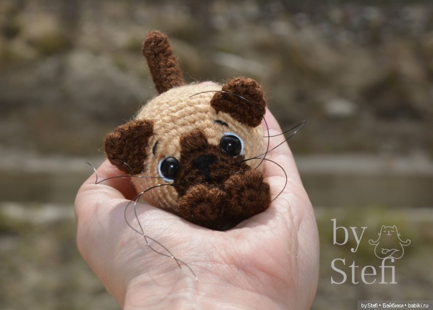 Ещё один котёнок Прошка — Вязаные игрушки и амигуруми: крючком (фото 7)