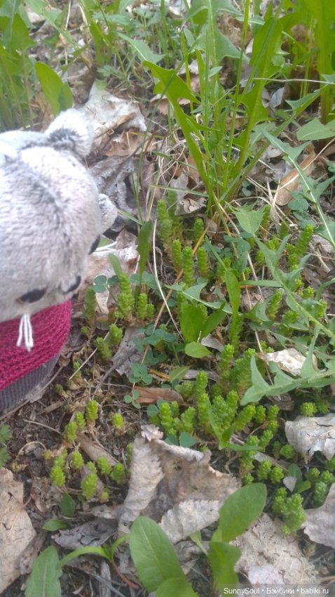 Прогулка — Интересные игрушки и фигурки (разное): редкие (фото 5)