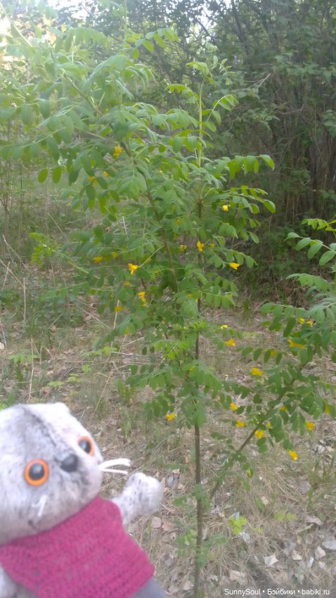 Прогулка — Интересные игрушки и фигурки (разное): редкие (фото 6)