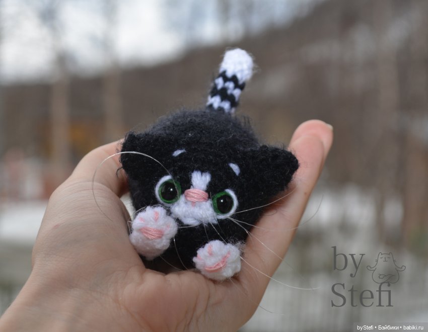 Котёнок Блэки. И еще один Апельсинчик (фото 5)