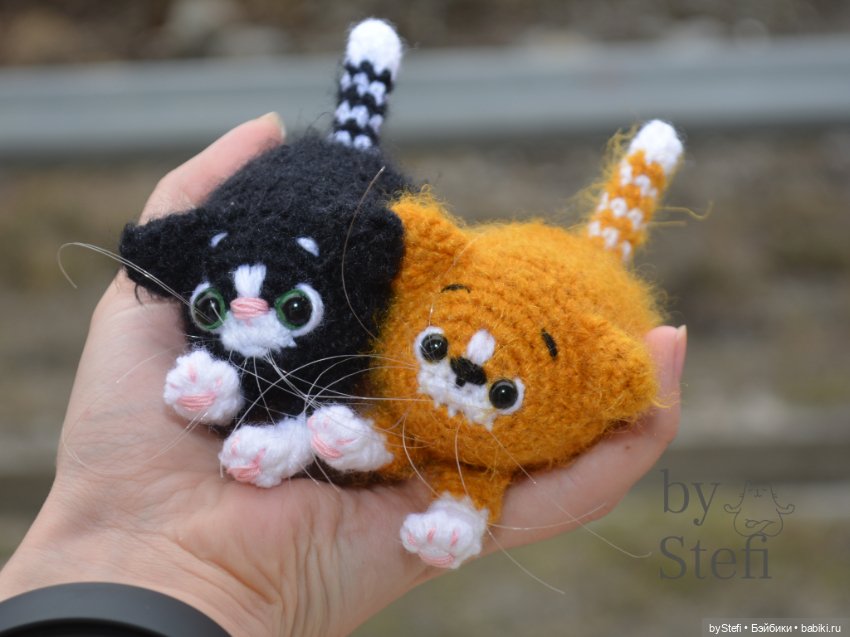 Котёнок Блэки. И еще один Апельсинчик