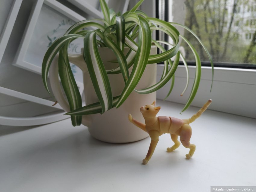 Завела мышка кошку — Фотоистории с куклами BJD (БЖД): сериалы (фото 8)