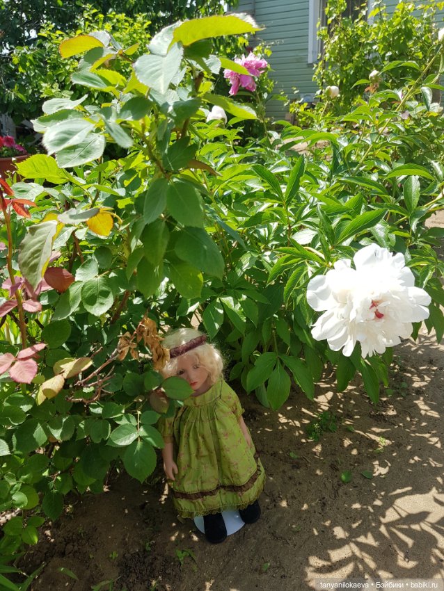 Как хорошо на даче 2 — Куклы Zwergnase (Цвергназе/Цверги): фото (фото 10)