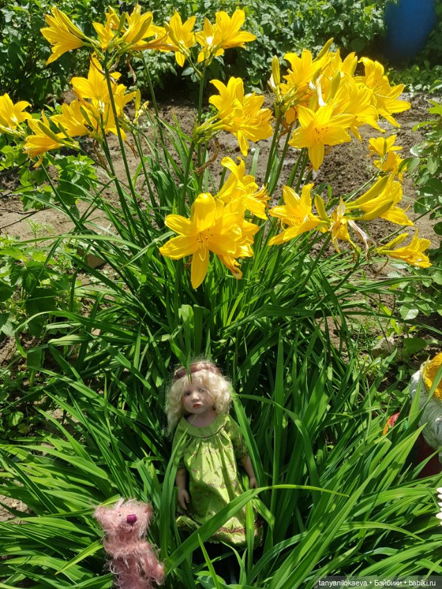 Как хорошо на даче 2 — Куклы Zwergnase (Цвергназе/Цверги): фото (фото 5)