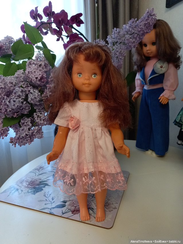 Немочки спорят кто они Бигги или Раунштайн?? Обе с номером (фото 2)