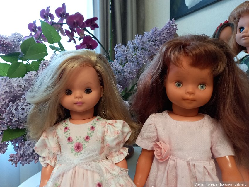 Немочки спорят кто они Бигги или Раунштайн?? Обе с номером (фото 6)