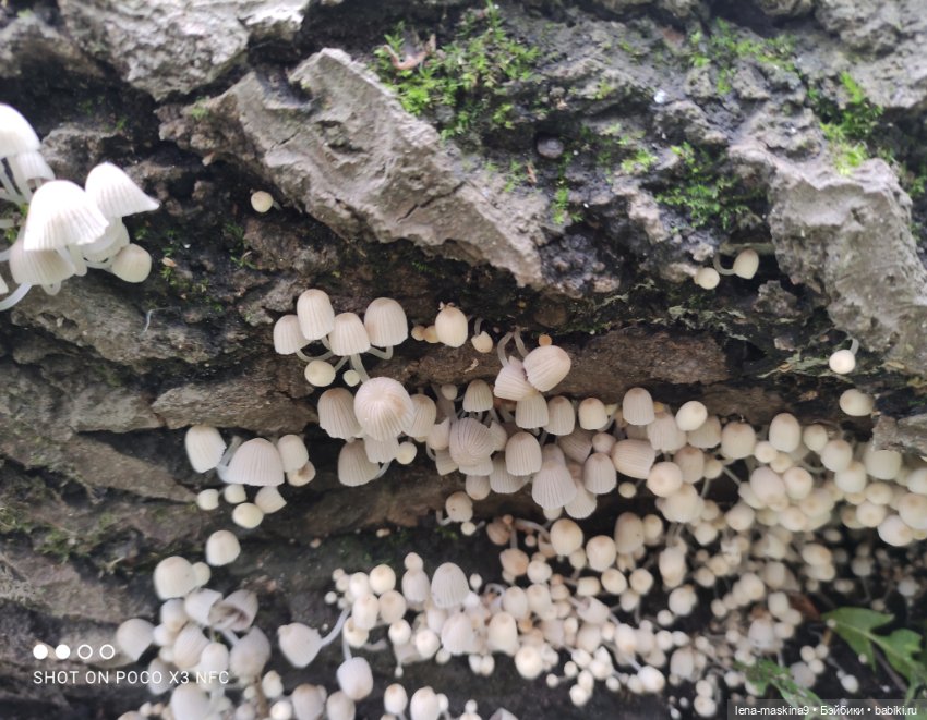 Парк и матрёшки — Игрушки СССР и советского детства: резиновые (фото 8)