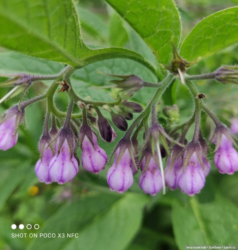 Парк и матрёшки — Игрушки СССР и советского детства: резиновые