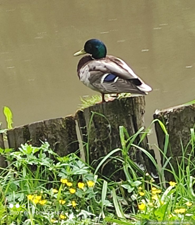 Парк и матрёшки — Игрушки СССР и советского детства: резиновые