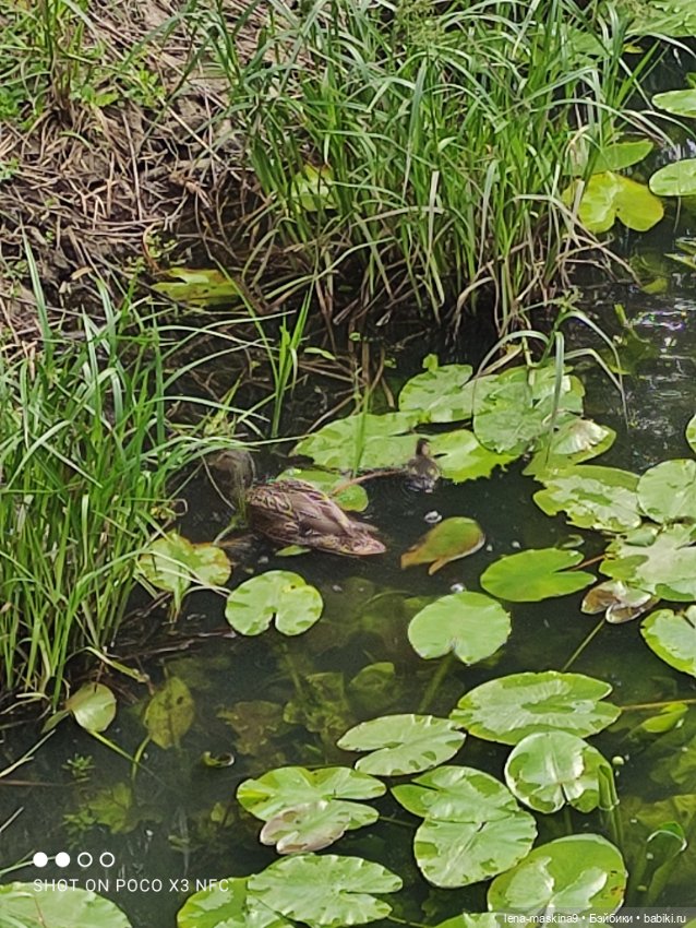 Парк и матрёшки — Игрушки СССР и советского детства: резиновые