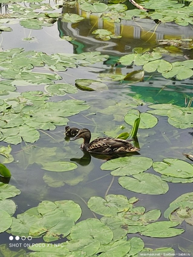 Парк и матрёшки — Игрушки СССР и советского детства: резиновые