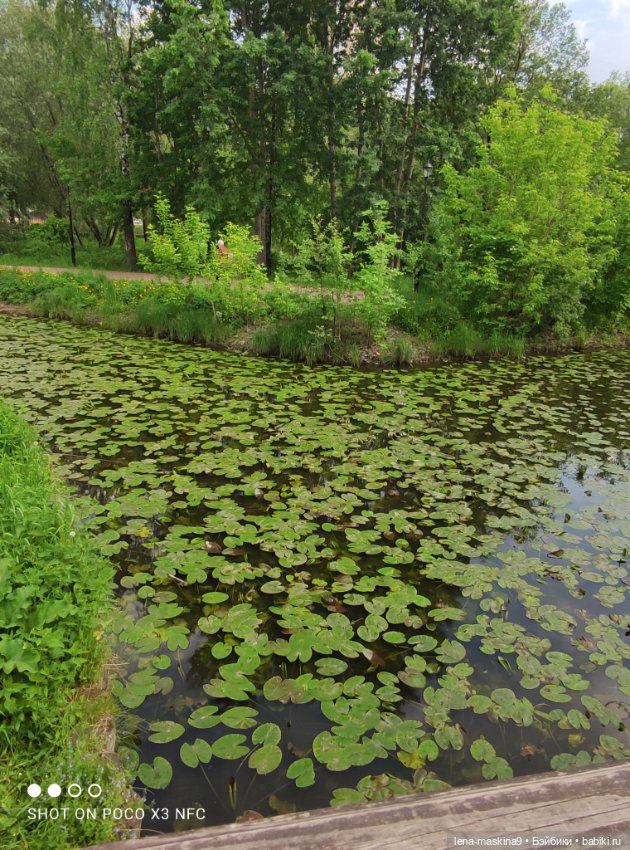 Парк и матрёшки — Игрушки СССР и советского детства: резиновые