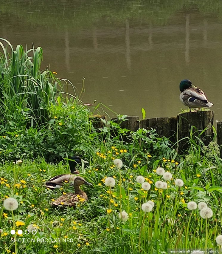 Парк и матрёшки — Игрушки СССР и советского детства: резиновые