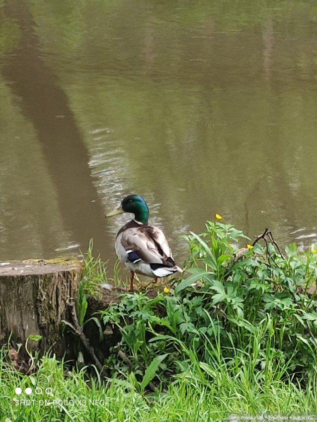 Парк и матрёшки — Игрушки СССР и советского детства: резиновые