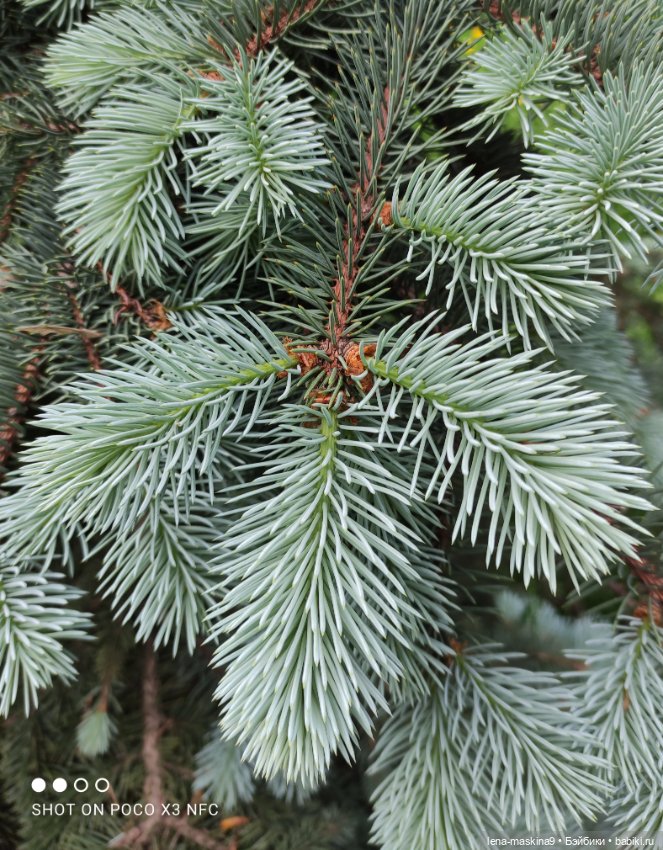 Парк и матрёшки — Игрушки СССР и советского детства: резиновые (фото 5)