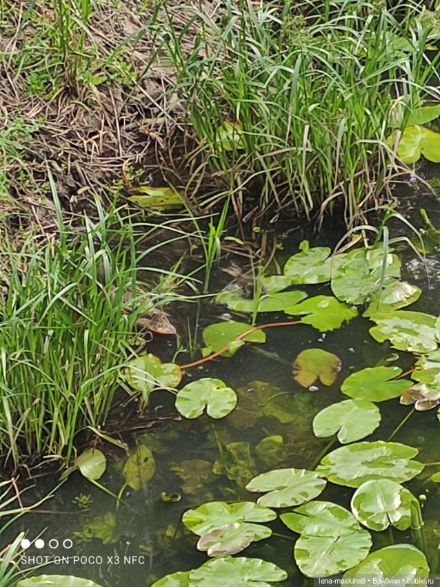 Парк и матрёшки — Игрушки СССР и советского детства: резиновые