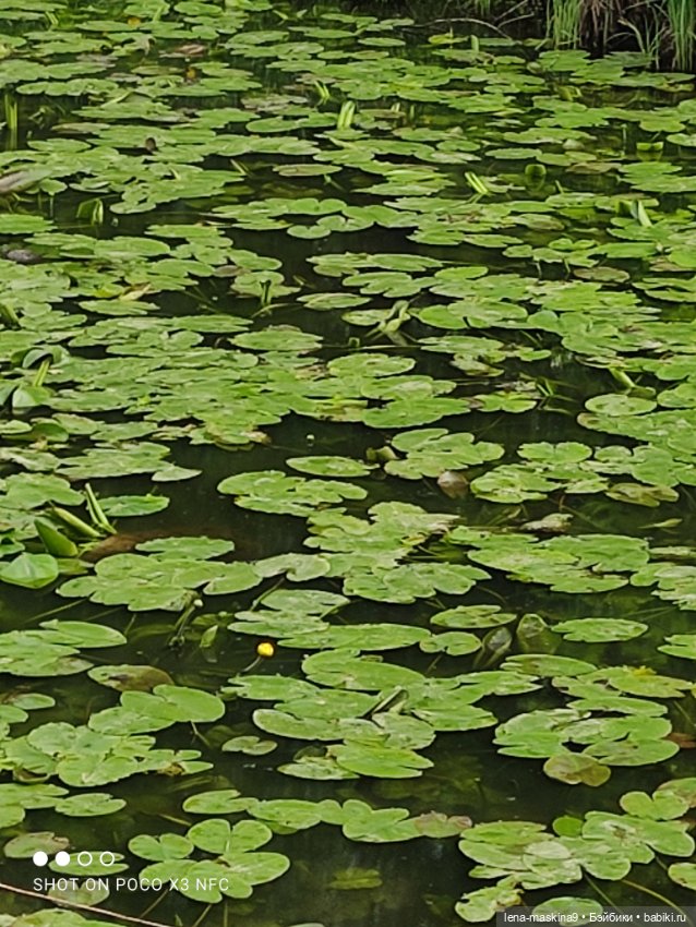 Парк и матрёшки — Игрушки СССР и советского детства: резиновые