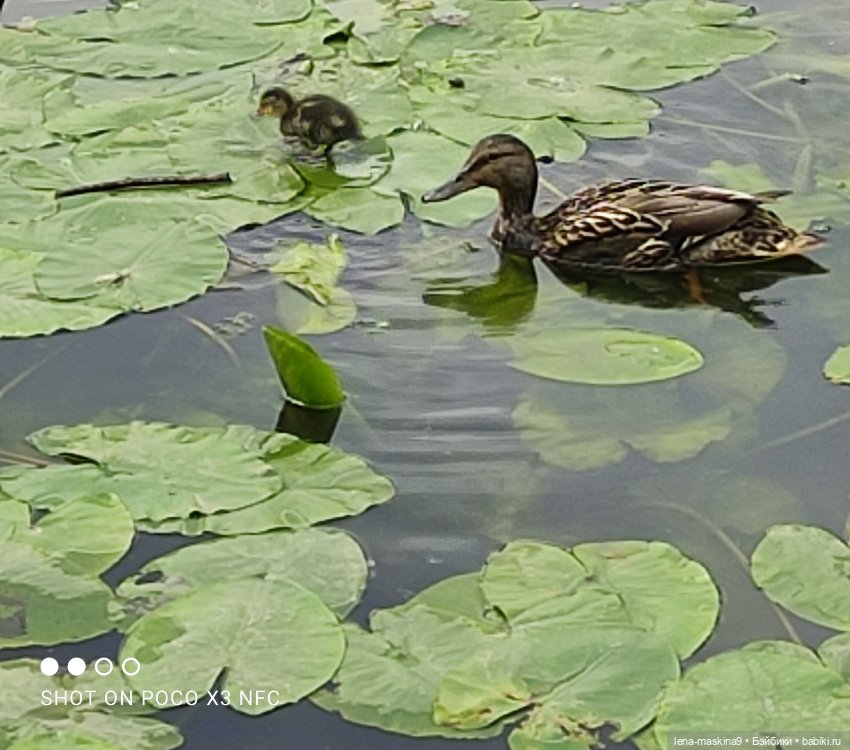 Парк и матрёшки — Игрушки СССР и советского детства: резиновые