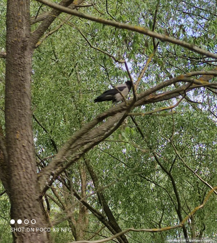 Парк и матрёшки — Игрушки СССР и советского детства: резиновые