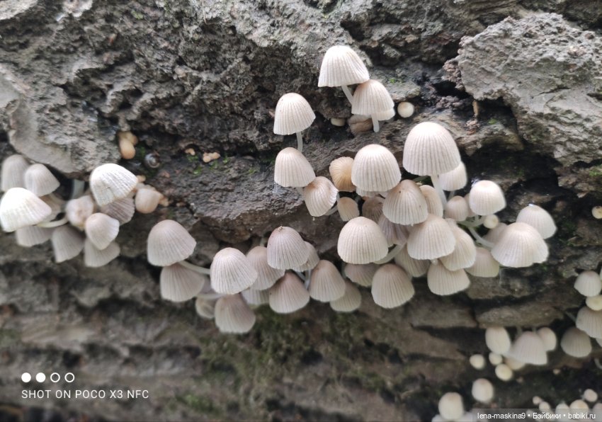 Парк и матрёшки — Игрушки СССР и советского детства: резиновые (фото 9)