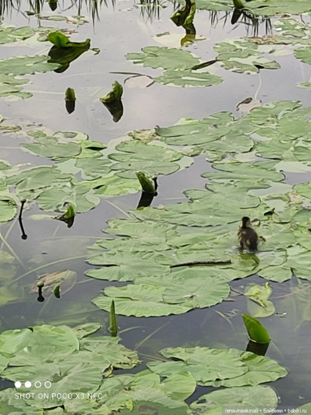 Парк и матрёшки — Игрушки СССР и советского детства: резиновые