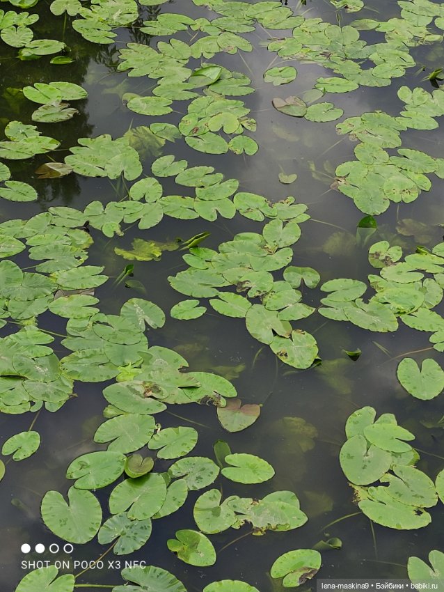 Парк и матрёшки — Игрушки СССР и советского детства: резиновые