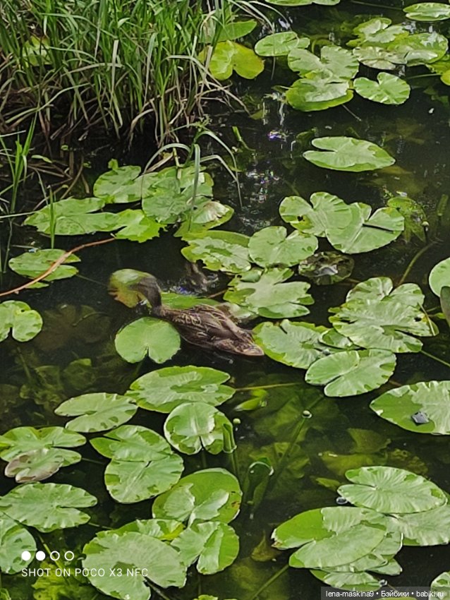 Парк и матрёшки — Игрушки СССР и советского детства: резиновые